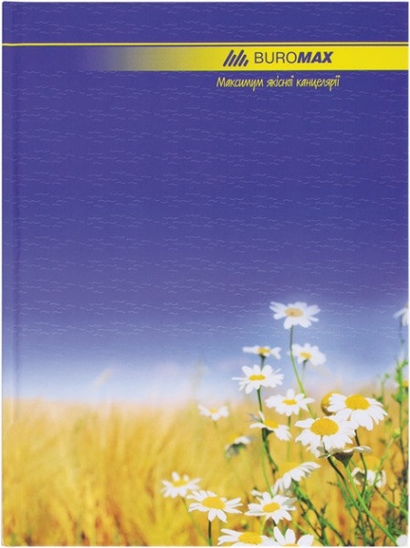 Книга канцелярська А4 96 арк, Buromax 2400-206 лінія ламінована тверда обкладинка 