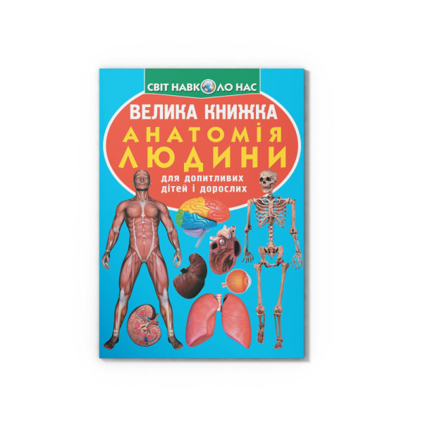 Книга Велика книжка Crystal Book Анатомія людини В4 мяка на скобі серія Світ навколо нас 