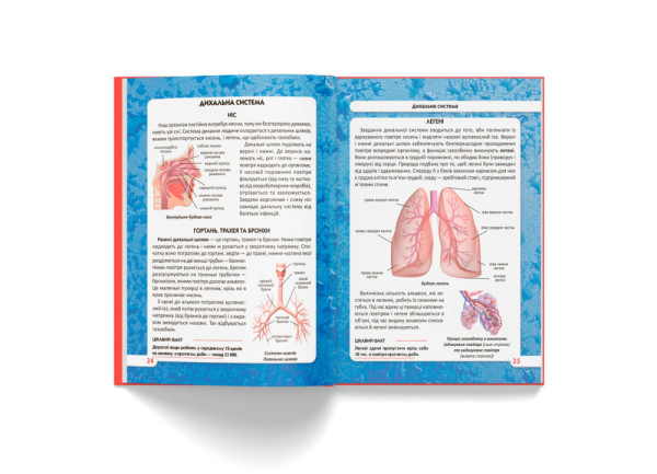 Енциклопедія Crystal Book Тіло людини Світ навколо нас А4 тверда ламінована обкладинка 