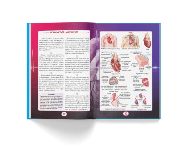 Енциклопедія  Crystal book Ви це маєте знати Тіло людини А4 