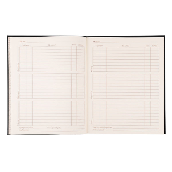 Щоденник YES 911758  інтегральний Lagging Cat  А5 40 арк. 